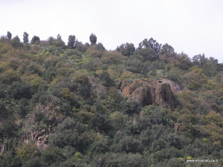 mpa Falconiera-30-03-2013 11-08-28